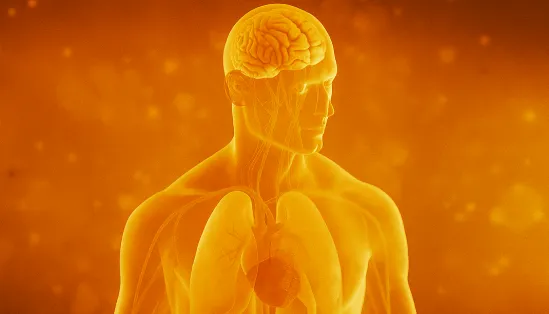 7 Types of Medical Animation Transforming Healthcare Communication