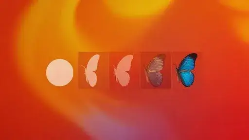 What Is Morphing in Animation? An In-depth Guide in 2025