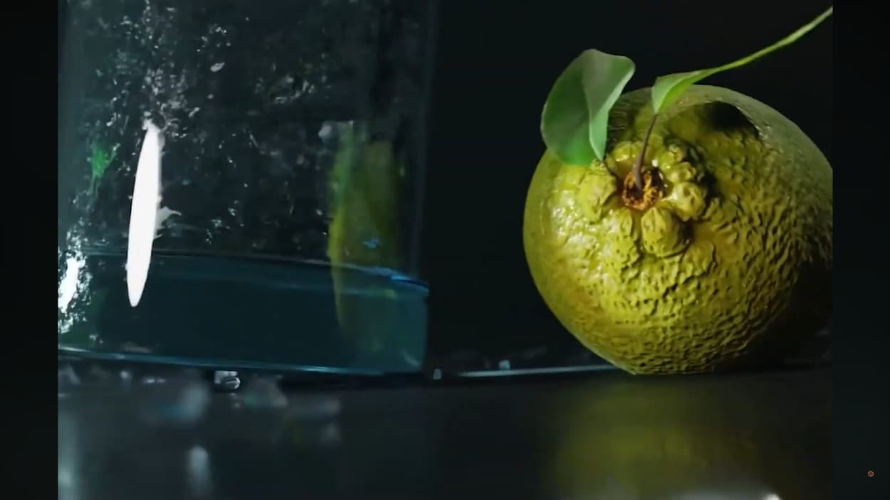 Project Showcase Video 2