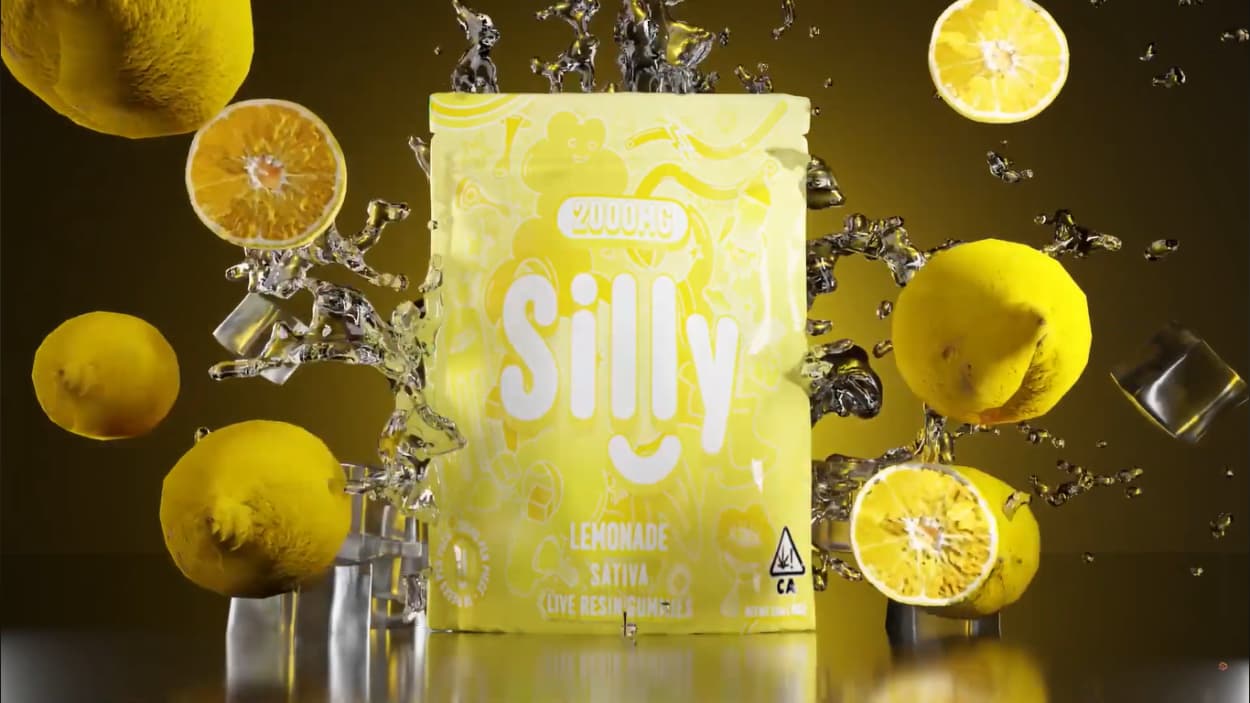 Project Showcase Video 6