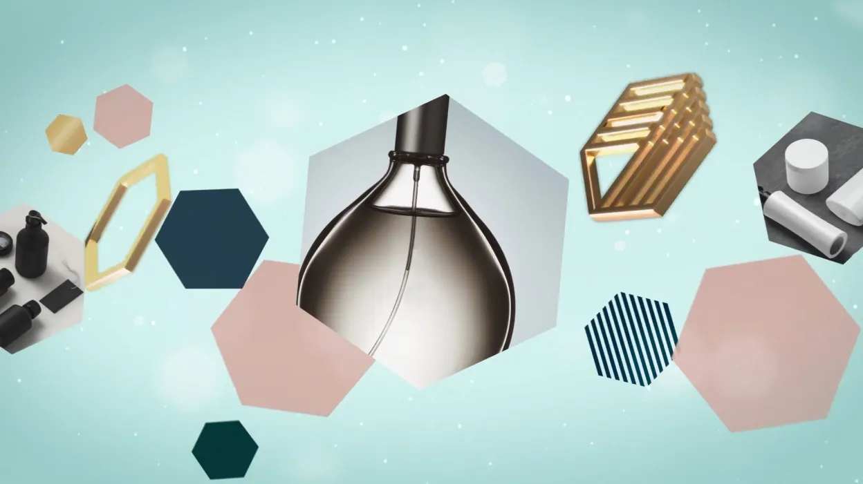 Project Showcase Video 6