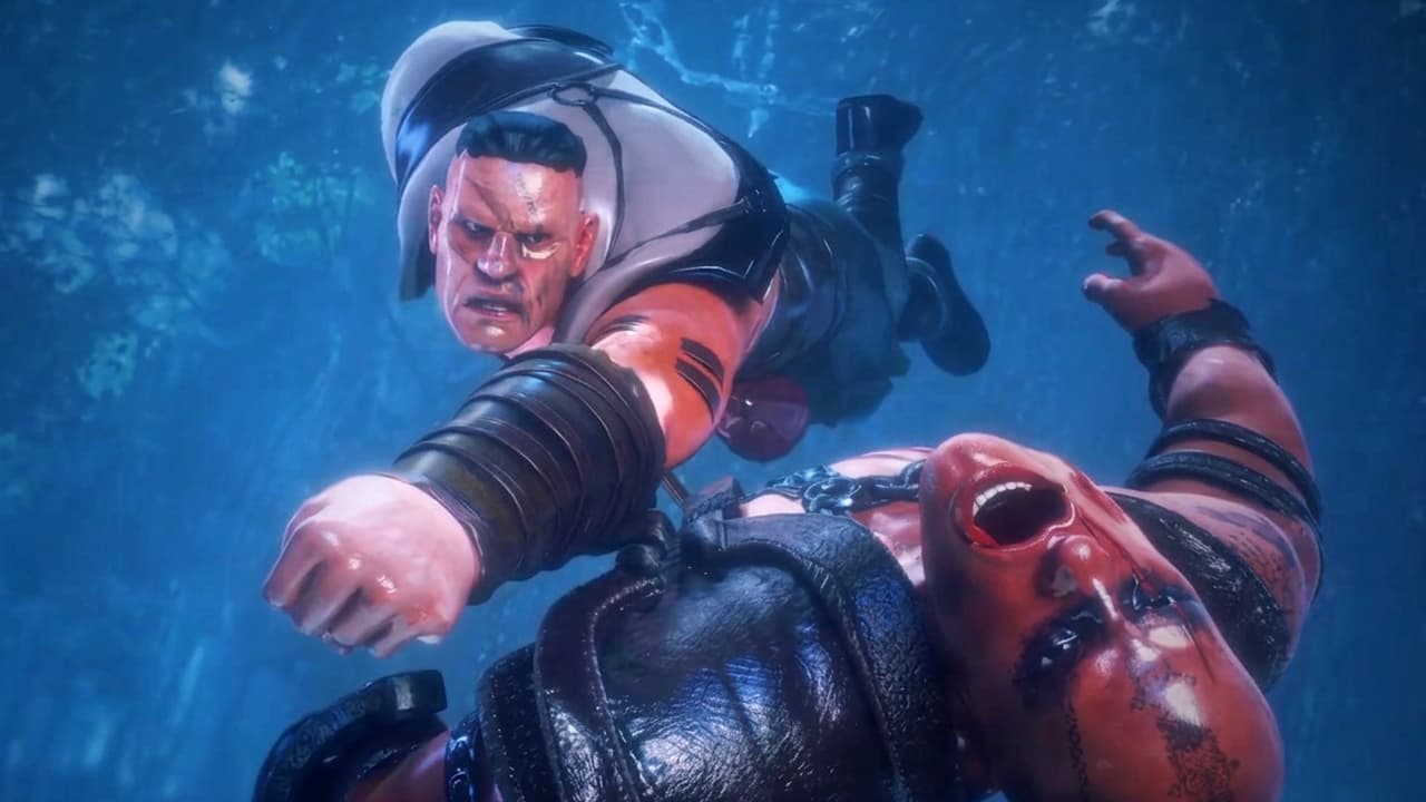 Project Showcase Video