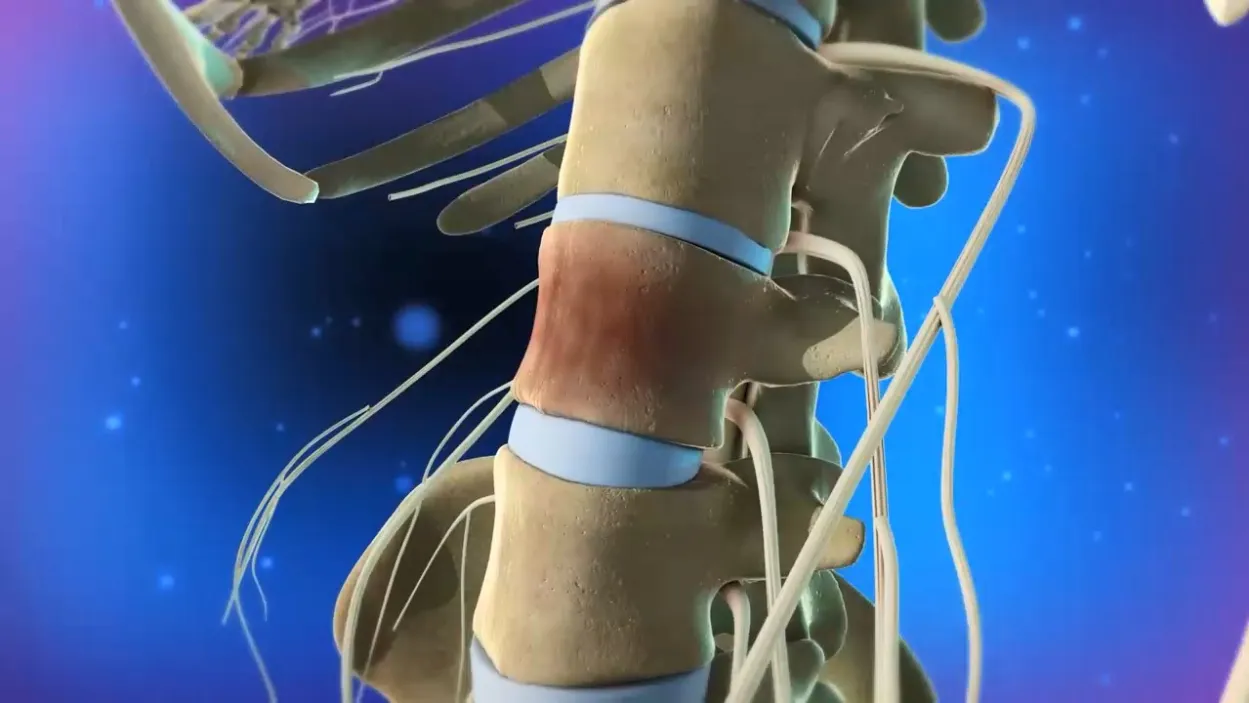 Project Showcase Video 1