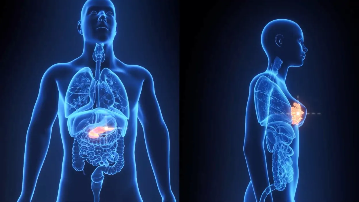 Project Showcase Video 5