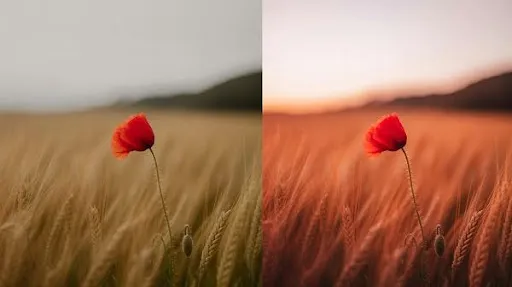 Color Grading: A Practical Guide for Everyone