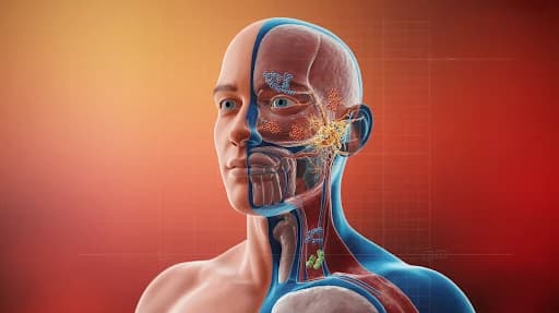 What Is Medical Animation for Pharma Companies and Why It Matters in 2026