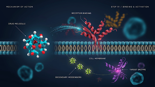 Drug MOA Animation Process: From Scientific Brief to Approved Storyboard