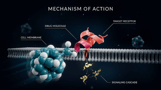 What Is Mechanism of Action Animation?