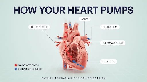 How Medical Animation Helps Patient Education: Why Medical Animation for Patient Education Matters
