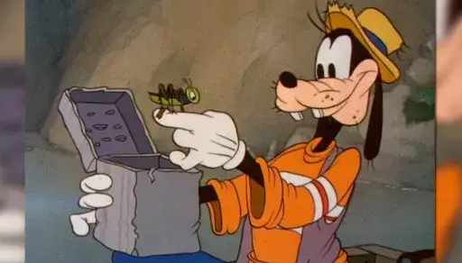 Goofy