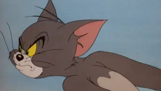 Tom Cat