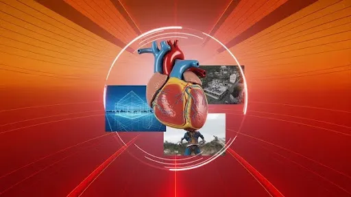 3D animation in medical, real estate, and games