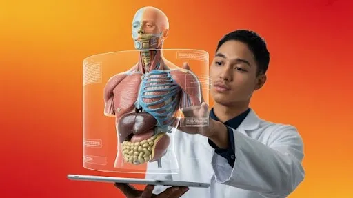 A young student learning through digital anatomy