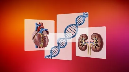 An example of 3D science animations in medical education