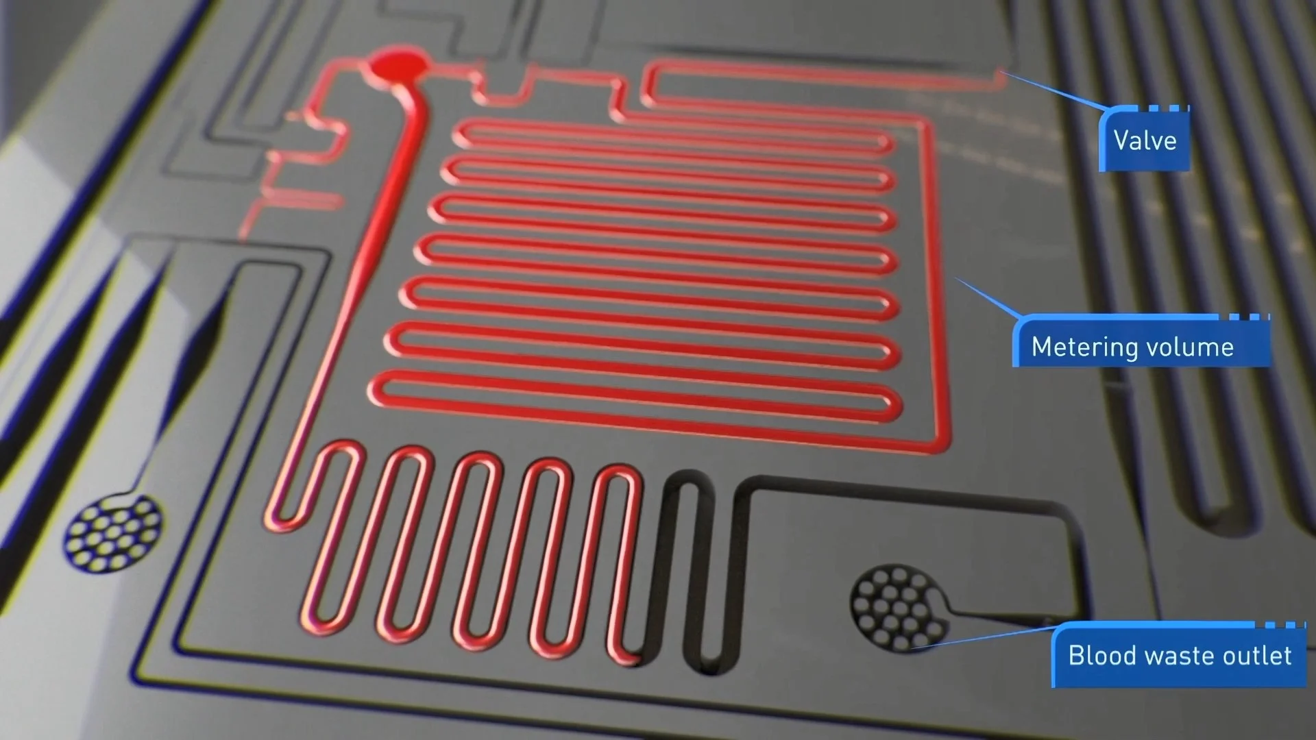 Biotech Animation 4.mp4 snapshot 01.07 2025.11.12 14.10.39