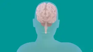 Screenshot 2026 01 09 195525