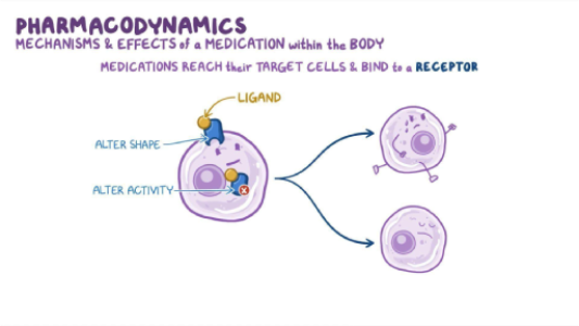 Benefits of Drug Mechanism Animation