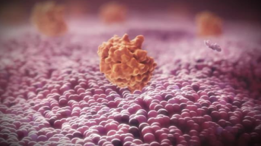 Medical Animation for Healthcare Communication