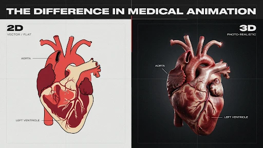 The difference between medical animation in 2D and 3D