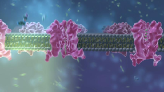bio animation