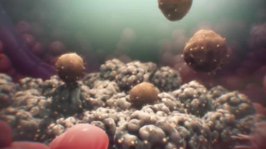 biotech services USA