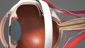 Healthcare Animation