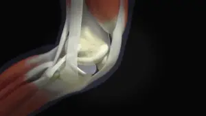 Medical Animation