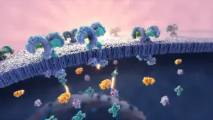 Medical Animation